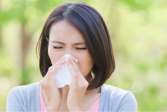 花粉症対策